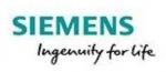 /images/com_odtatierkdunaju/teams/2019_SIEMENS-RUN.JPG
